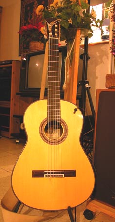 Guitaar 